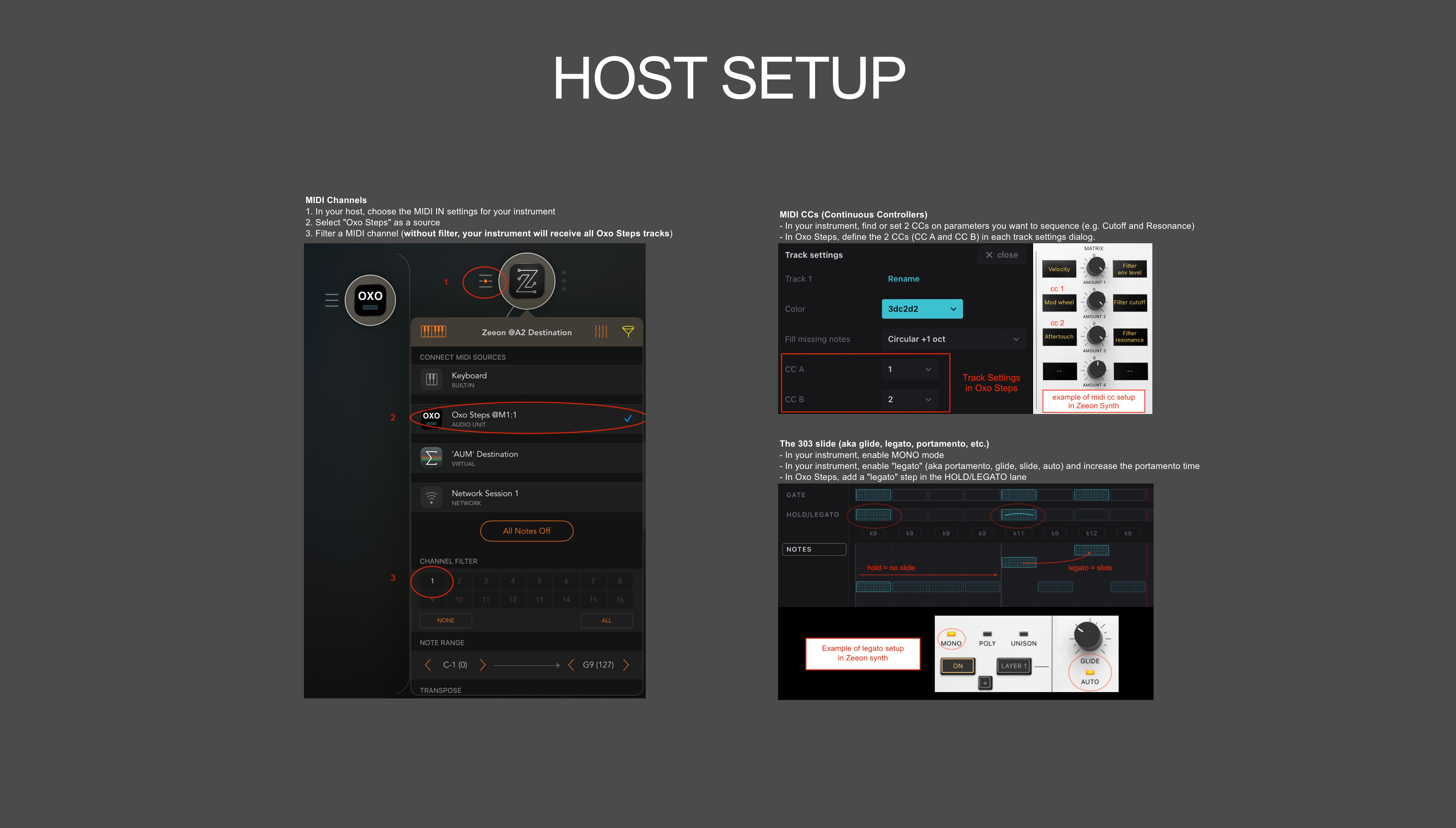 Oxo Steps manual screenshot: host setup page